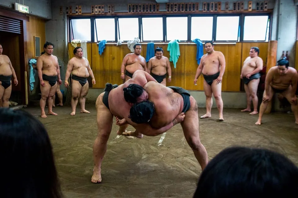 Sumo morning practice viewing
